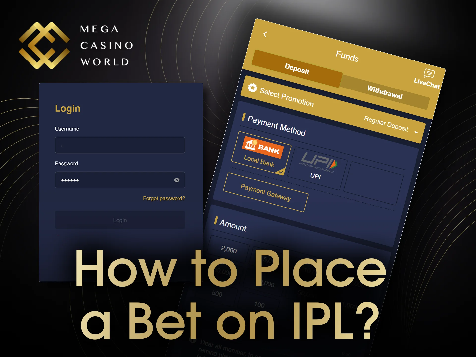 Learn how to place a bet on IPL at Mega Casino World and start winning today.